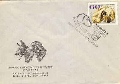 1969 [KO69 142] Wystawa Ps&oacute;w Rasowych - Katowice